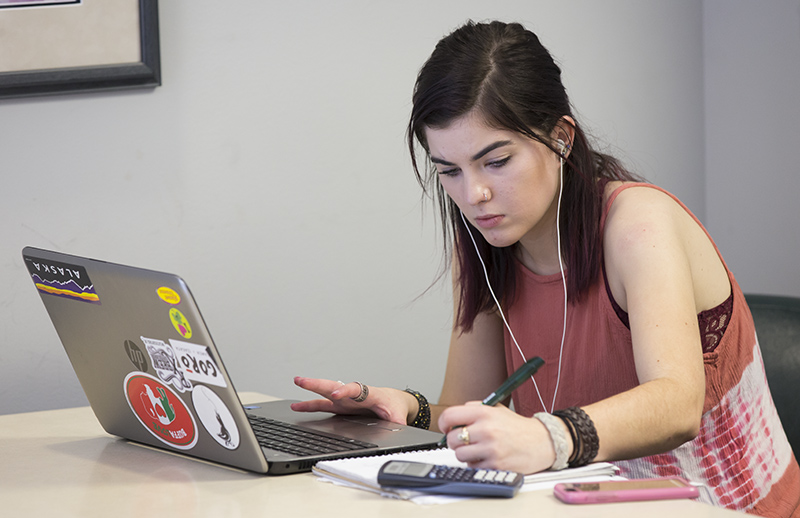 OnlineAccess_1.jpg student using computer